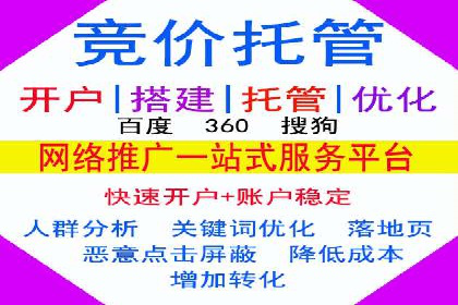 顶级SEM服务公司案例解析